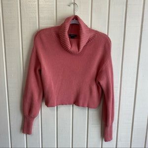 Wild Fable Pink Turtleneck Sweater